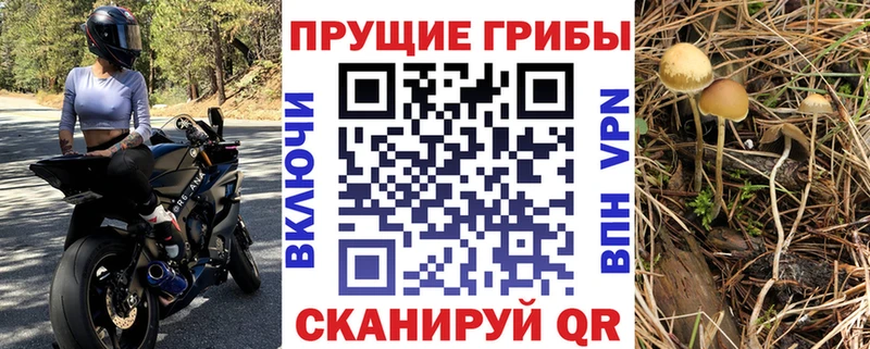 Псилоцибиновые грибы Psilocybe  Дудинка 